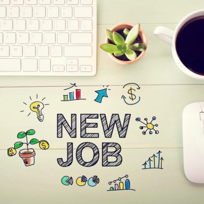 Grupa Brandoo nawiązała współpracę z firmą Microsoft