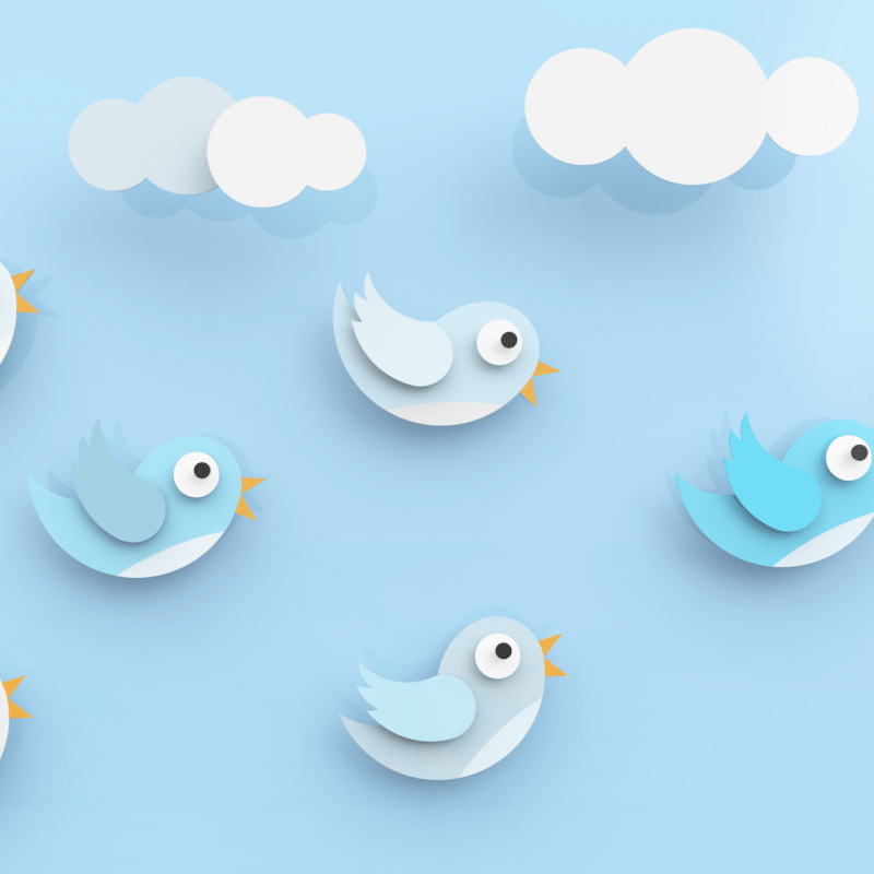 Użytkownicy Twittera spotkają się w Szczecinie – Grupa Brandoo partnerem kreatywnym!