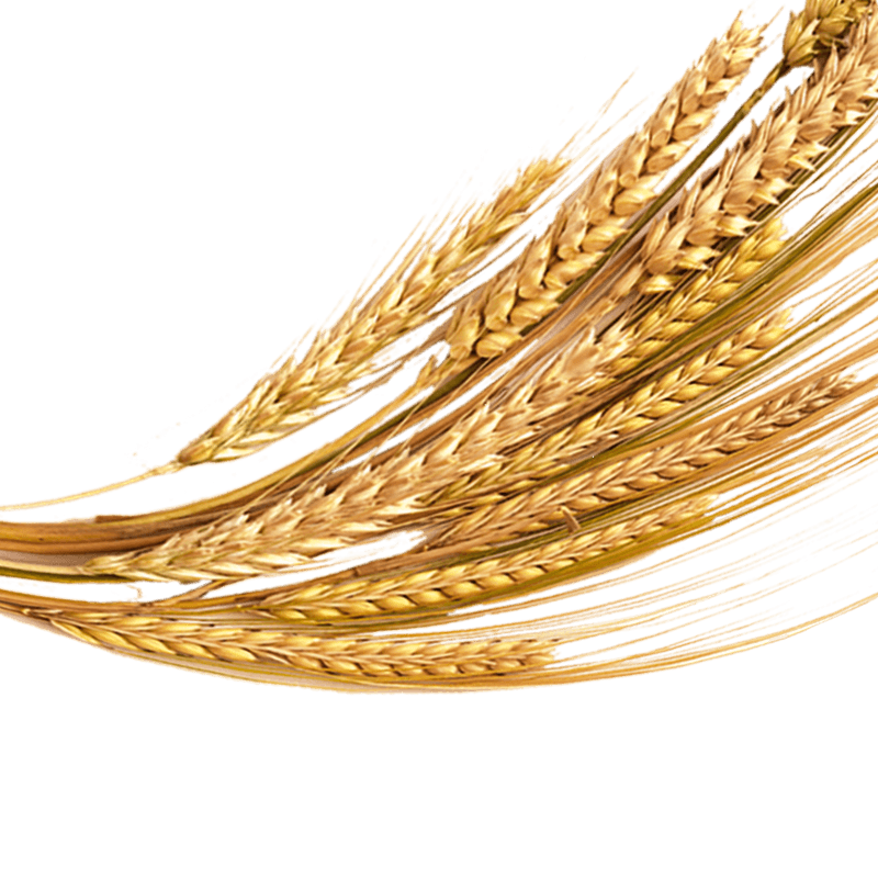 Wypiekarnia i ciachownia